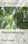 Phenomenology