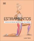 Estiramientos: Potencia tu flexibilidad, mantente activo y evita lesiones