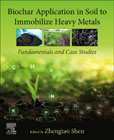 Biochar Application in Soil to Immobilize Heavy Metals: Fundamentals and Case Studies