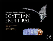 Stereotaxic Brain Atlas of the Egyptian Fruit Bat