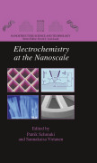 Electrochemistry at the nanoscale