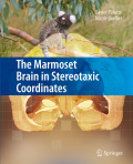 The marmoset brain in stereotaxic coordinates