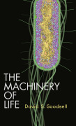 The machinery of life