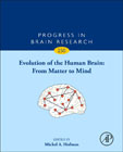 Evolution of the Human Brain: From Matter to Mind