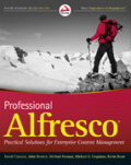 Professional Alfresco: practical solutions for enterprise content management