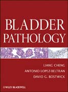 Bladder pathology