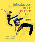 Introduction to the human body