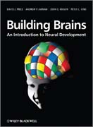 Building brains: an introduction to neural development