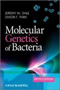 Molecular genetics of bacteria