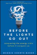Before the lights go out: conquering the energy crisis before it conquers us