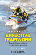 Effective teamwork: practical lessons from organizational research