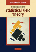 Introduction to statistical field theory