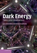 Dark energy: theory and observations