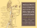 Melloni's illustrated review of human anatomy