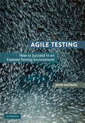 Agile testing: how to succeed in an extreme testing environment