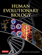 Human evolutionary biology