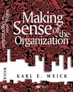 Making sense of the organization