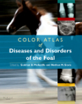 Color atlas of diseases and disorders of the foal