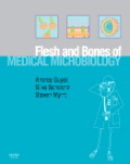 The flesh and bones of medical microbiology