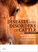 Color atlas of diseases and disorders of cattle