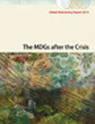 Global monitoring report 2010: the MDGs after the crisis