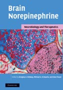 Brain Norepinephrine: Neurobiology and Therapeutics