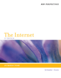 New perspectives on the internet: introductory