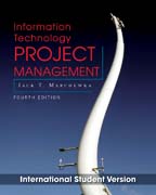 Information technology project management