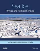 Sea Ice: Physics and Remote Sensing