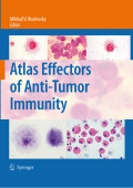 Atlas effectors of anti-tumor immunity