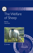 The welfare of sheep