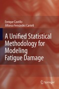 A unified statistical methodology for modeling fatigue damage