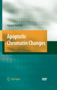 Apoptotic chromatin changes