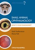 Small animal ophthalmology: what's your diagnosis?