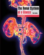 The renal system at a glance