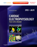 Cardiac electrophysiology: from cell to bedside