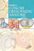 Netter's concise orthopaedic anatomy