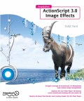 Foundation ActionScript 3.0 image effects