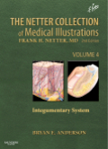 The Netter collection of medical illustrations