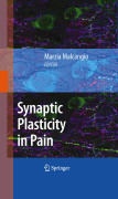 Synaptic plasticity in pain