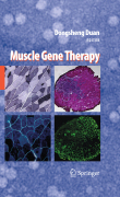 Muscle gene therapy