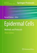 Epidermal Cells