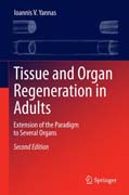 Tissue and Organ Regeneration in Adults