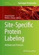 Site-Specific Protein Labeling