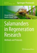 Salamanders in Regeneration Research: Methods and Protocols