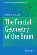 The Fractal Geometry of the Brain