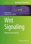 Wnt Signaling