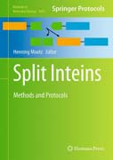 Split Inteins