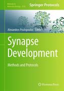 Synapse Development