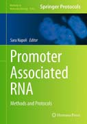 Promoter Associated RNA